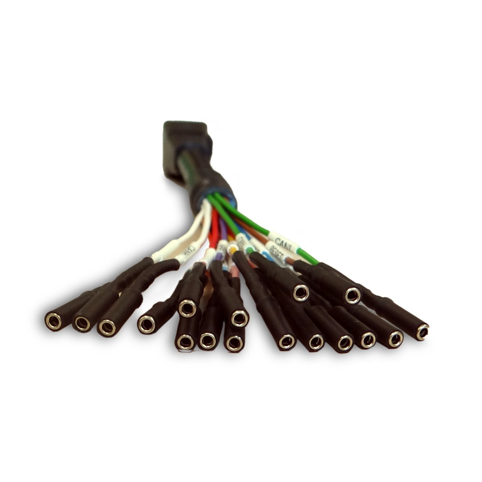 Câble multi-fils pour connexion directe à l'ECU - Alientech 144300KBNC