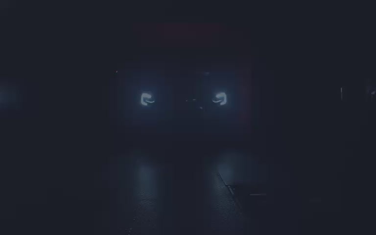 Charger la vidéo: 